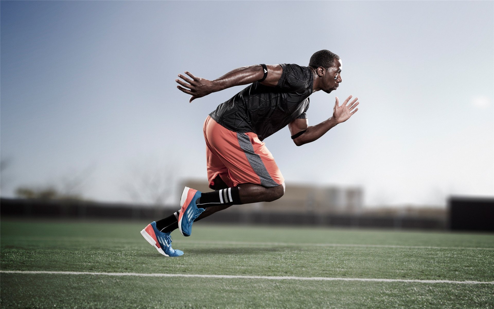 _老鹰快攻犀利,场面火爆不断_,老鹰cg